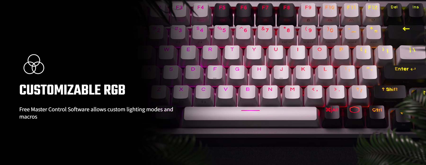 A large marketing image providing additional information about the product Cooler Master MK770 Macaron Hybrid Wireless Keyboard - Kailh Box V2 Red Switch - Additional alt info not provided